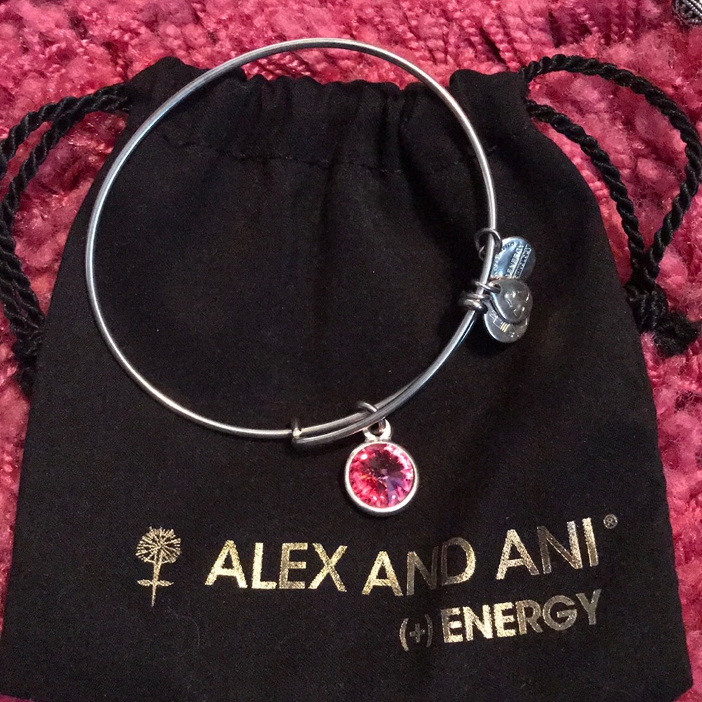 Alex & Ani Bracelet